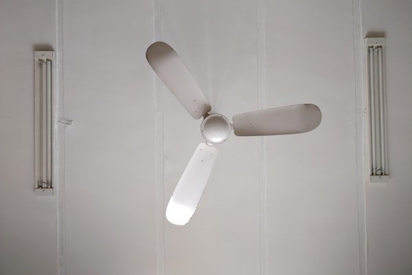 Ceiling Fans